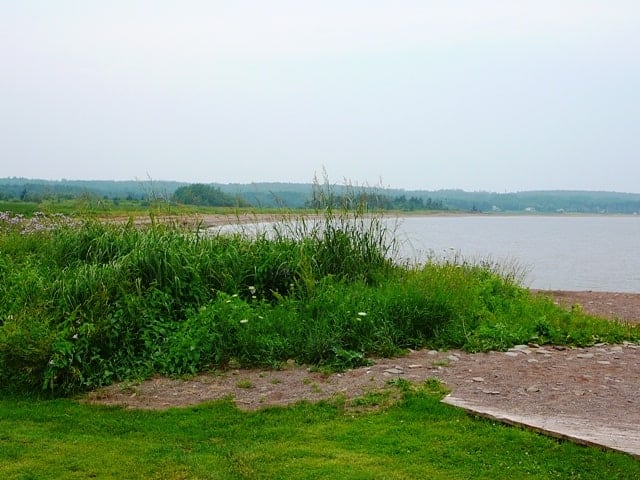 Tidal pools and marsh grass at Blue Sea Beach Malagash near Tatamagouche.