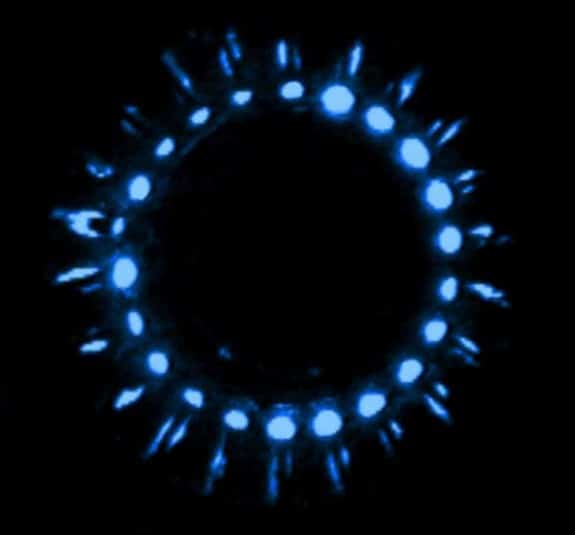 Bioluminescent jellyfish Credit: NOAA