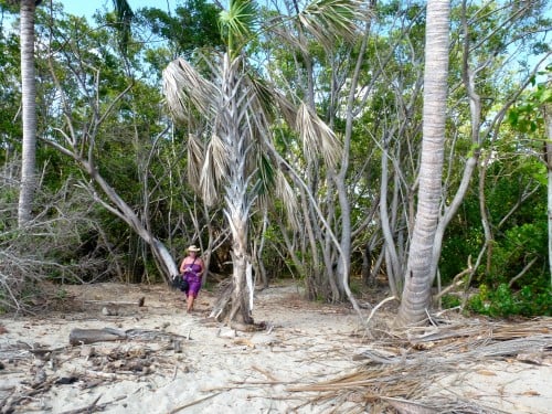 Woman standing among palm trees in Barra de Navidad, Oaxaca Mexico 