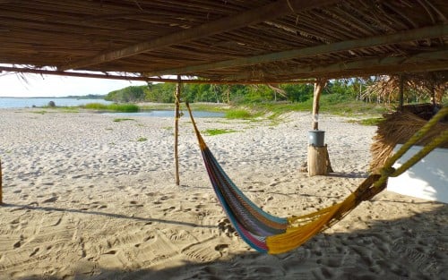 Hammock under a palapa roof at La Ballena Restaurant. 