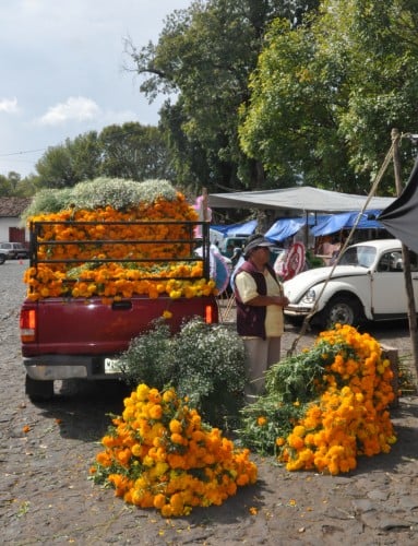 Cempasuchil vendor in Patzcuaro