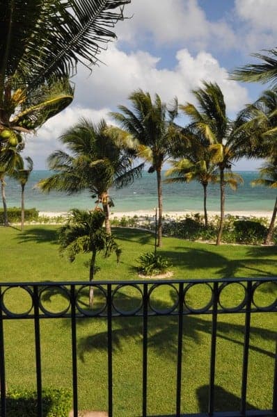 View of the bird-filled trees from a villa at Zoetry Resort in Puerto Morelos, Mexico.