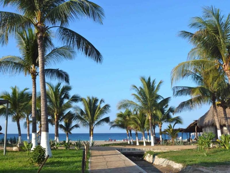 View of the palm trees on the boardwalk at Zicatela Beach in Puerto Escondido. 