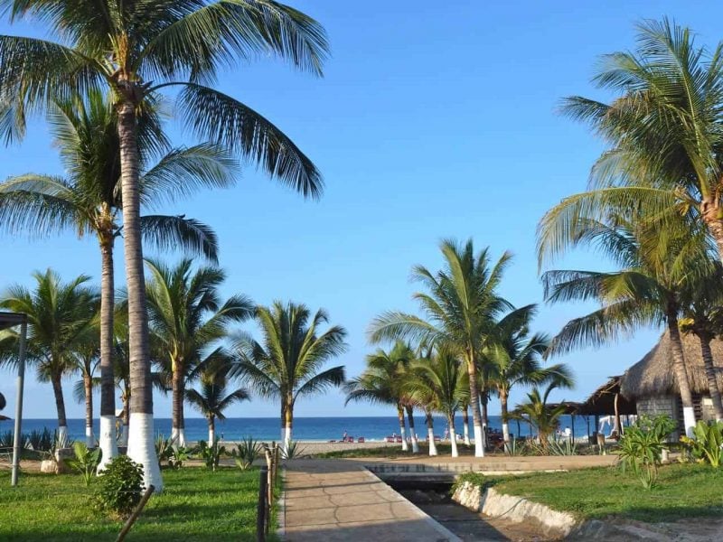 Palm trees on the beach boardwalk at Zicatela Beach in Puerto Escondido. 