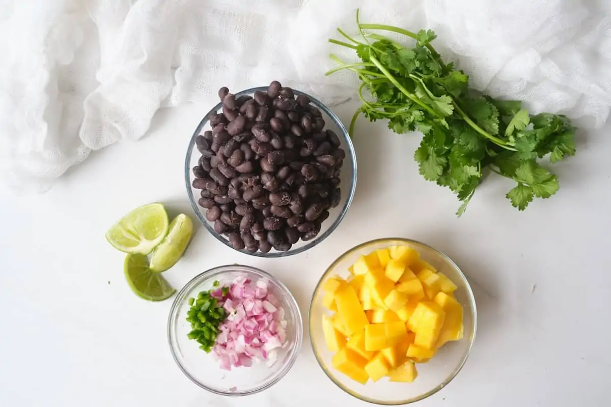 Ingredients for mango black bean salsa including mangoes, mint, cilantro, black beans, red onion, jalapeno and lime.