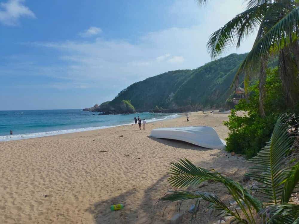 A beautiful beach with golden sand and palm trees at Playa Mazunte in Oaxaca, Mexico.