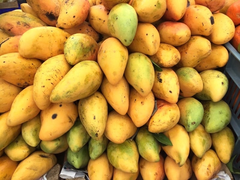 Mangos in Sunday street market in Playa del Carmen Mexico