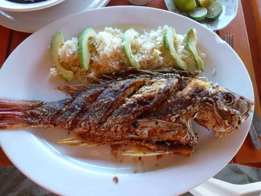 Fish a la plancha on a white plate at Roca Blanca beach near Puerto Escondido. 