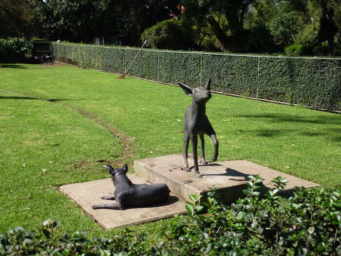 Statues of Xoloitzcuintle at Museo Dolores Olmedo Patino.