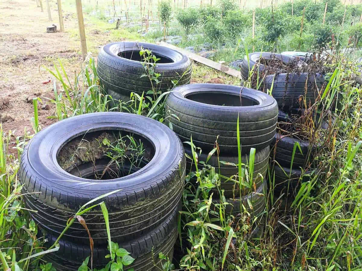 Abandoned tires on grass. 