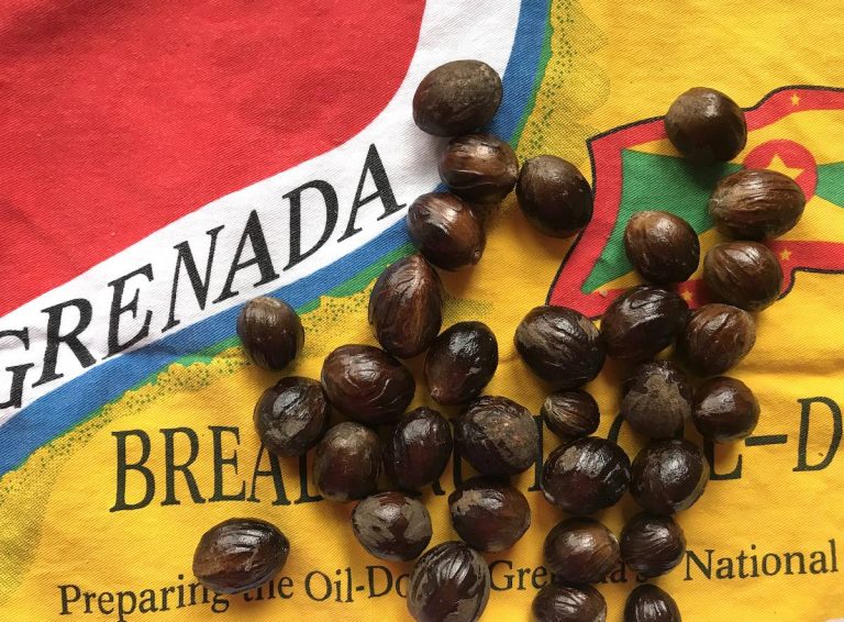Nutmeg in Grenada