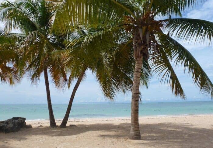 Soak up some tranquility at Pigeon Point Beach on Tobago