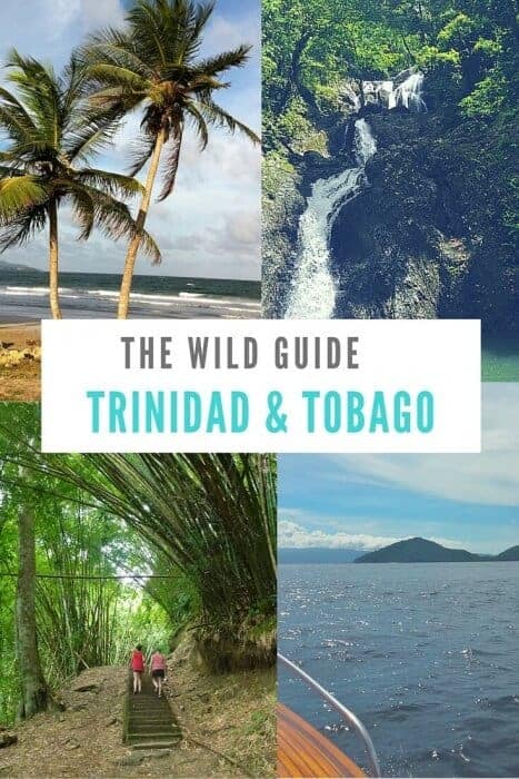 Explore authentic cuisine, pristine natural beauty and still-wild beaches in the dual nation of Trinidad and Tobago