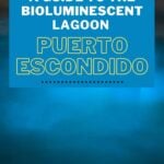 Blue plankton in the sea with text overlay of Bioluminescent Lagoon Tour in Puerto Escondido, Mexico for Pinterest.