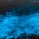 Bioluminescence in a lagoon at night.