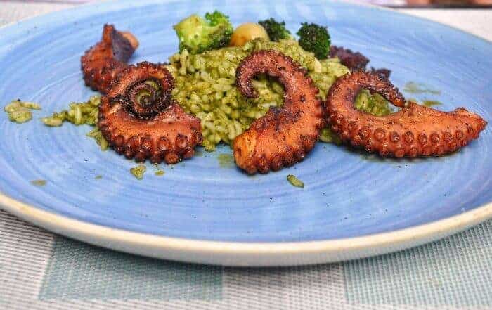 Plate of octopus and rice at Dreams Playa Mujeres Resort.