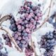 Frozen grapes in a vineyard in winter.