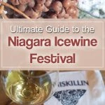 Celebrate winter with food and ice wine pairings, entertainment and ice sculptures at the Niagara Icewine Festival #wine #Canada