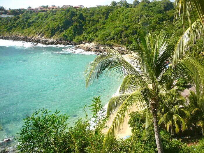 View of Carrizalillo Beach fringed with palm trees in Puerto Escondido, Mexico.