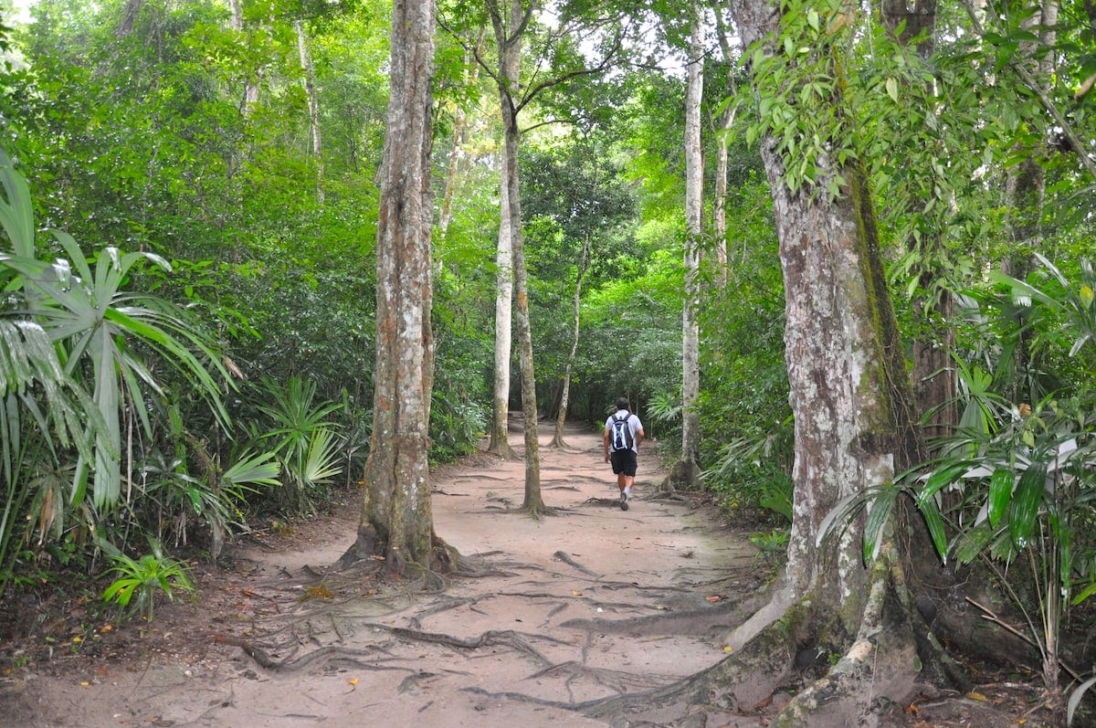 A man hiking in Tikal National Park in Guatemala.