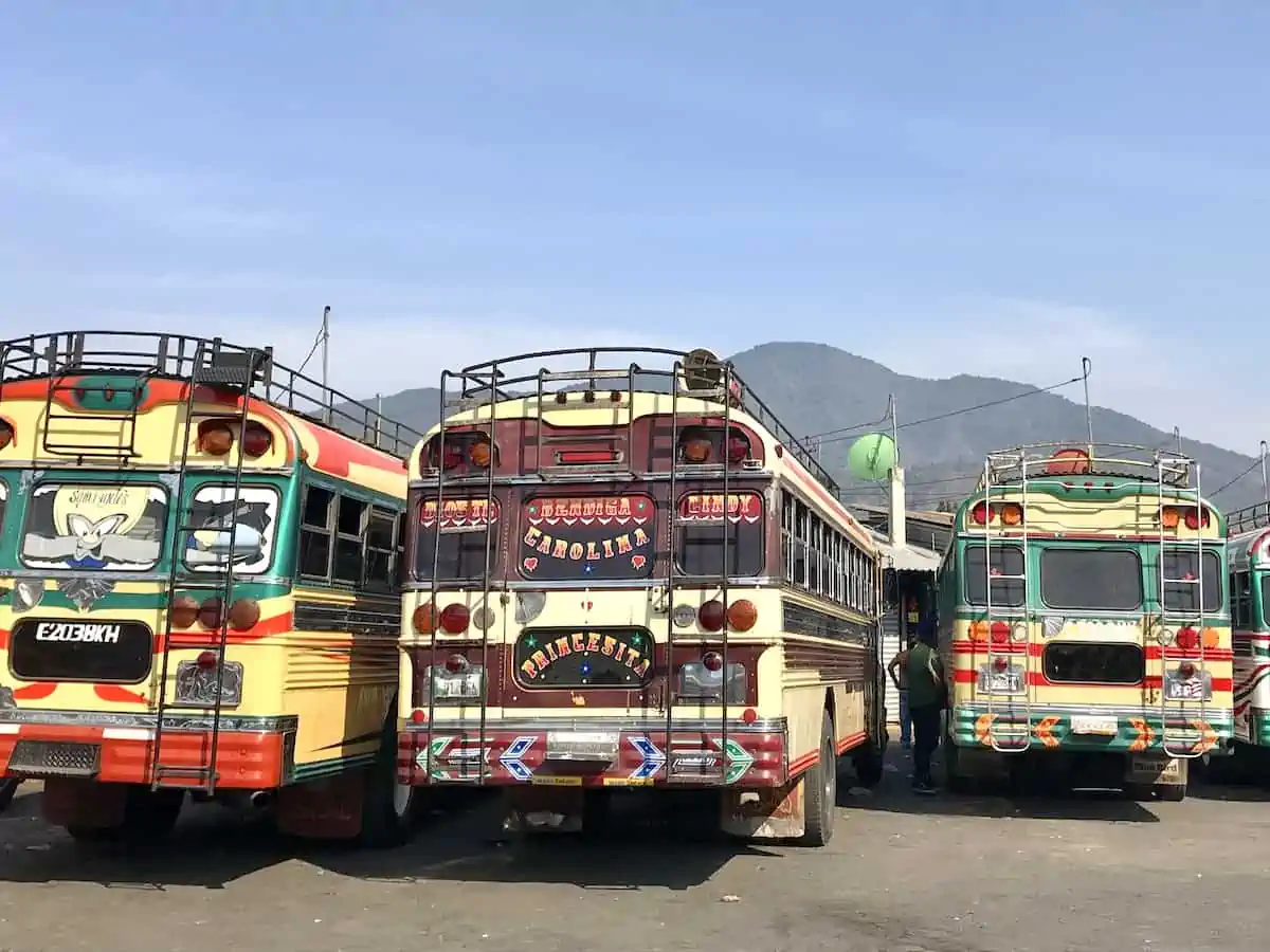 A row of colourful converted school buses known as chicken buses in Guatemala.