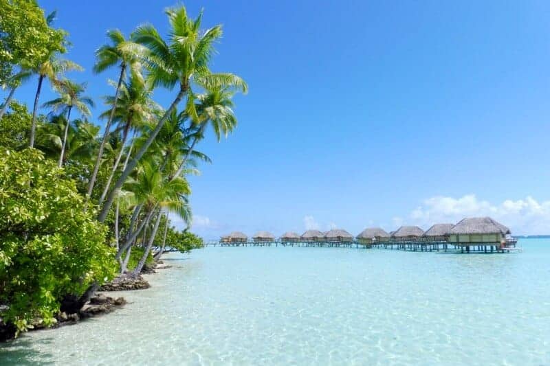 Blue waters and palm trees at Le Taha'a Island Resort and Spa in French Polynesia.