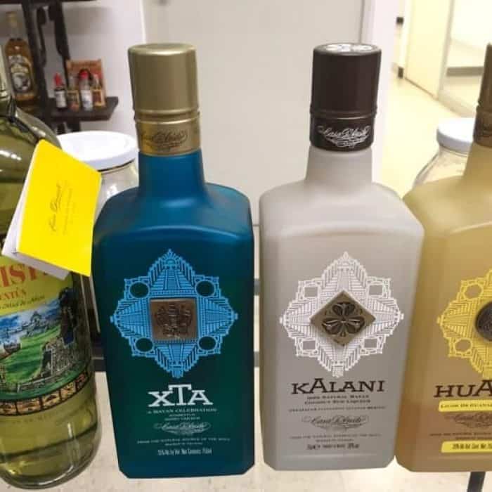 Bottles of D'Aristi Xtabentun brands