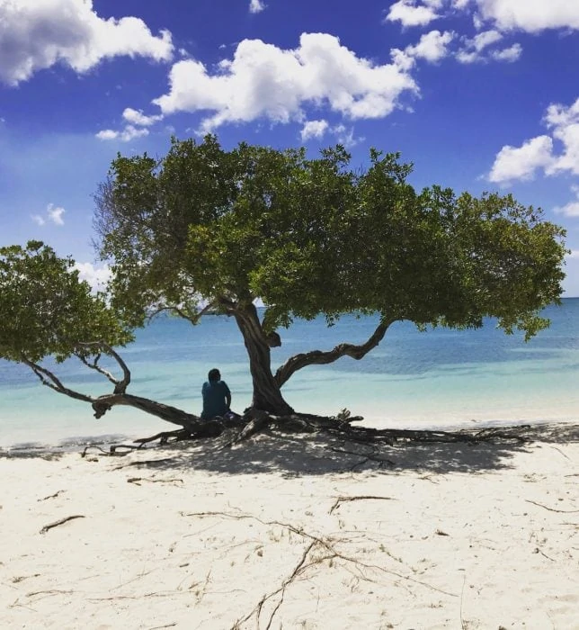 Man sitting on a secluded beach on Aruba.