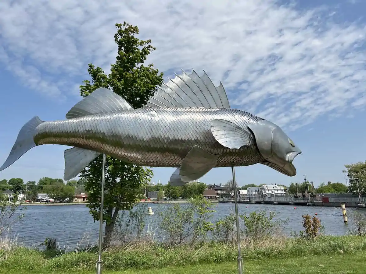 Pisces Pete, a stainless steel sculpture in Hastings Ontario.