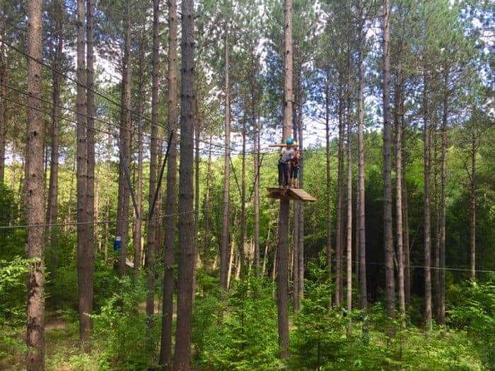 Treetop Trekking in the Ganaraska Forest Ontario