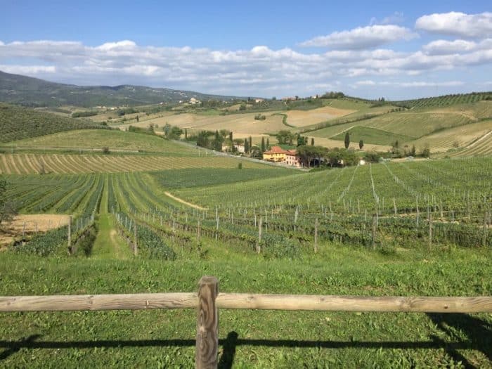 View from the Luxury Gold cooking class in Tuscany