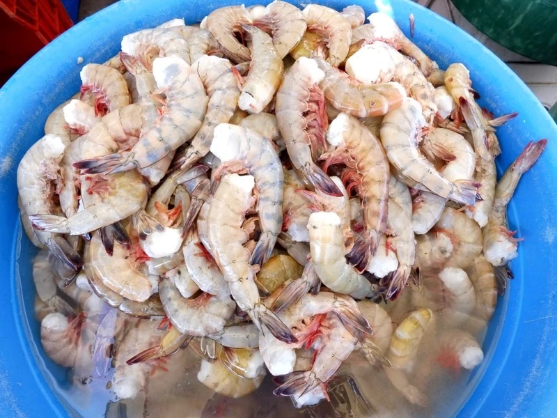 Fresh raw shrimp in the market in a blue bowl. 