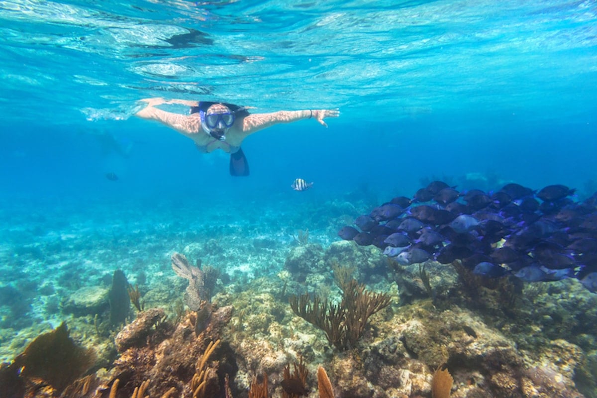 Young woman snorkelling in the Caribbean.