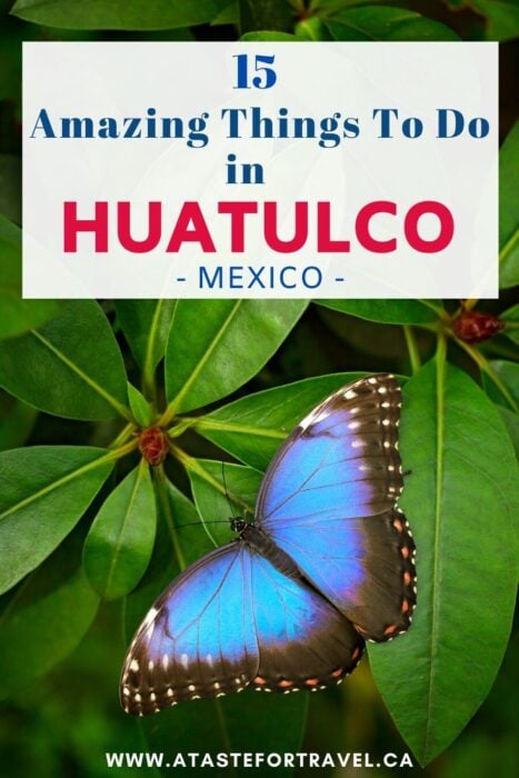 Things to Do in Huatulco