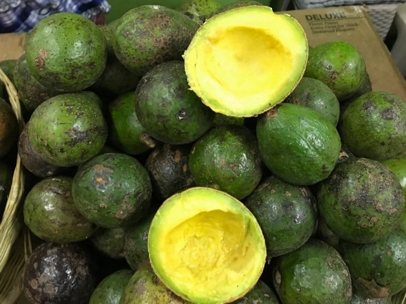 Cut avocados in a bin in the Mercado Central in Guatemala City.
