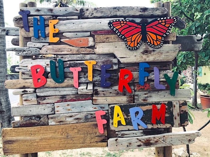 Butterfly Farm Aruba