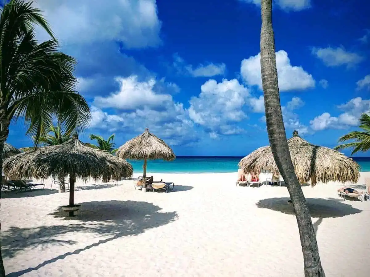 A sunny day on Eagle Beach in Aruba. Credit Sue Campbell