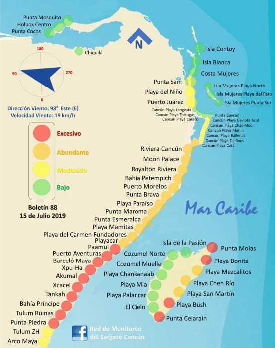 15 de julio Actualización de las Condiciones de Algas Marinas Xpu Ha