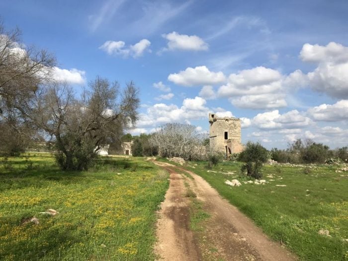 Masserias (walled farming estates) of historical and architectural interest dot the countryside of the Salento region of Puglia