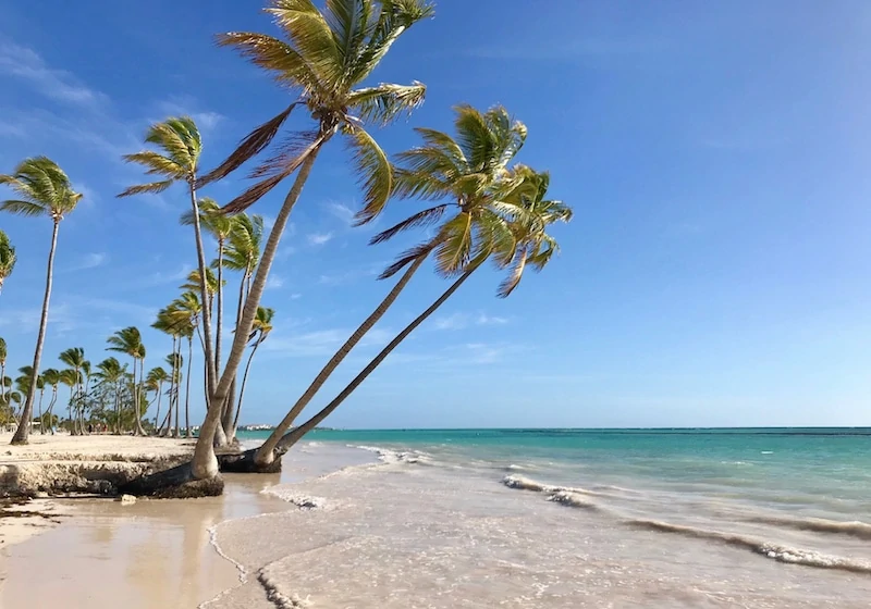 palm trees of Juanillo Beach at Cap Cana Punta Cana