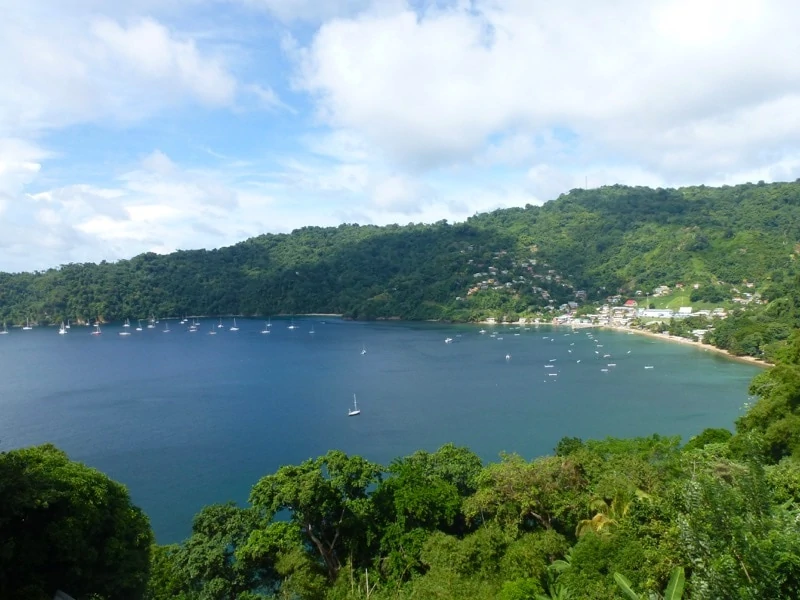 View of the island of Tobago with boats on the water.