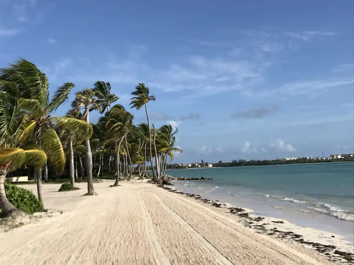 A Punta Cana beach with groomed sand, 