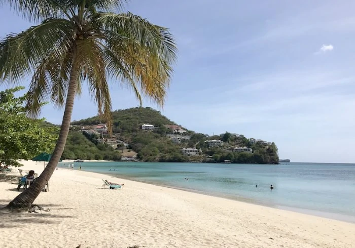 BBC Beach Grenada, a Caribbean beach with no seaweed in 2019.