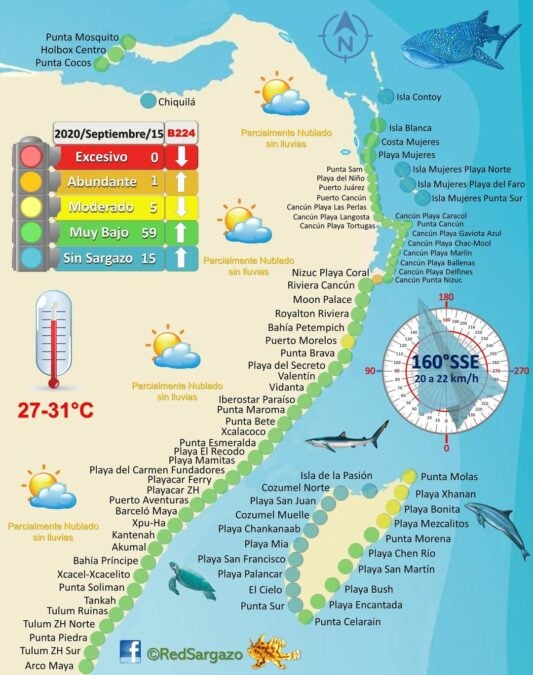 A map of sargazo seaweed in Cancun as of September 2020 prepared by Red de Monitoreo del Sargazo Cancun