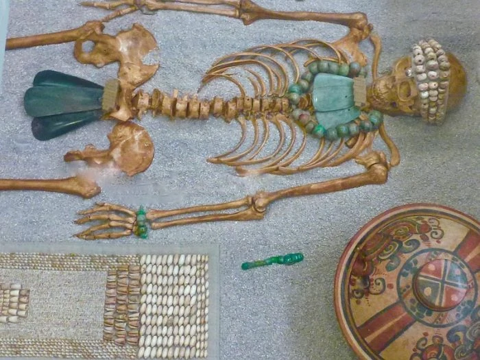 Skeleton at Museo de Cancun