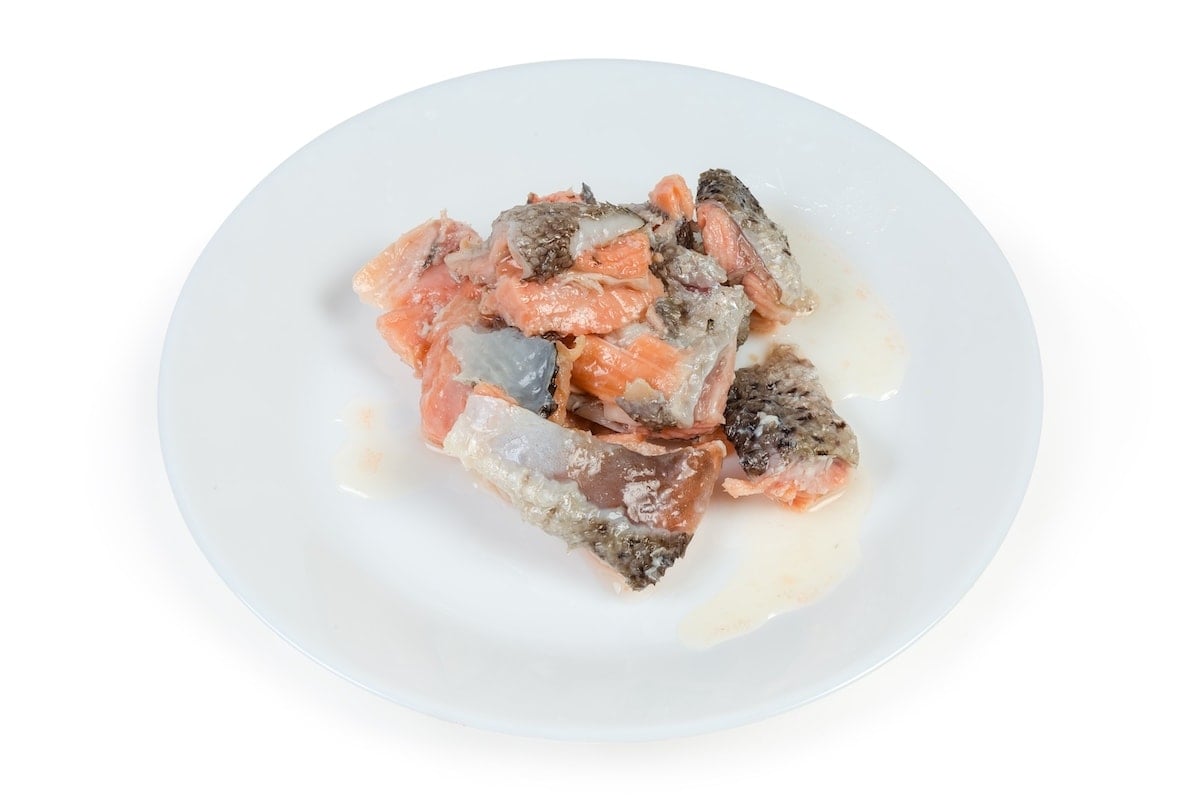 canned salmon on a plate dp