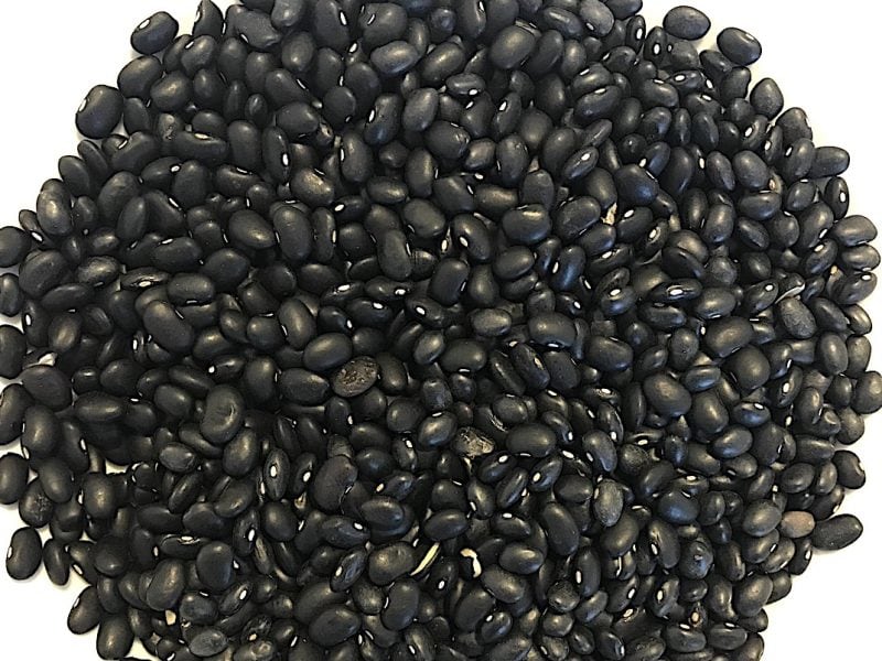 Black Turtle Beans Phaseolus vulgaris