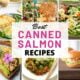 Collage of salmon in a can recipes with text overlay