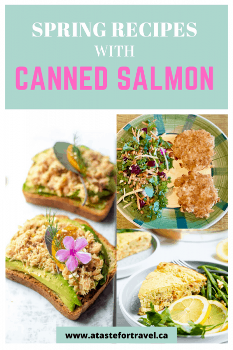 15 best canned salmon recipes 