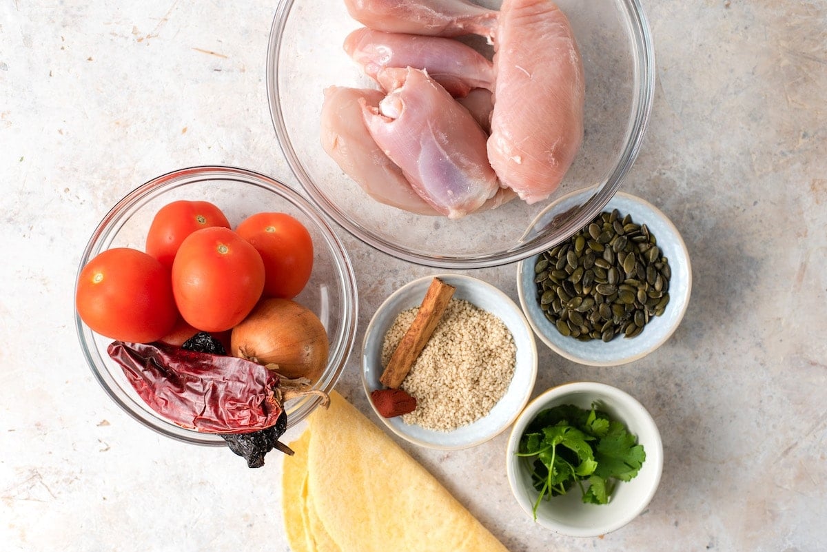 Overhead shot of ingredients for Guatemalan pepian, including chicken, Roma tomatoes, chiles, sesame and pumpkin seeds, cilantro, tortilla, onion and cinnamon.